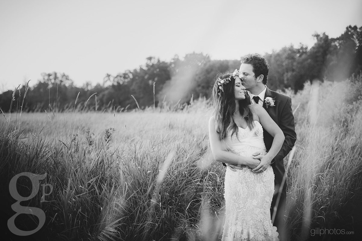 IMAGE: http://gillphotos.com/wp-content/uploads/2013/08/2.jpg